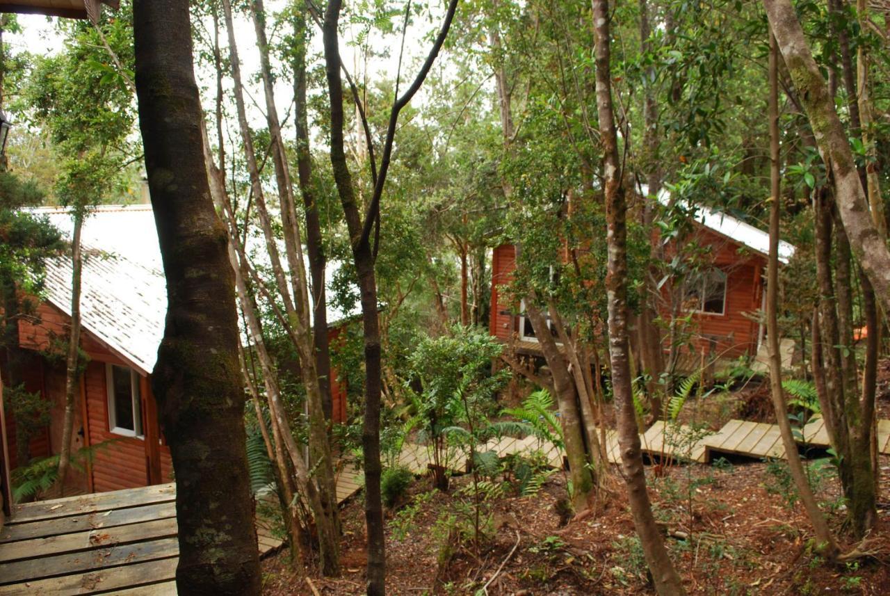 Chucao Bosque Y Cabanas Chaiten Ngoại thất bức ảnh